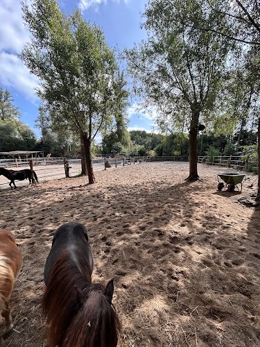 Boerderij op IJburg