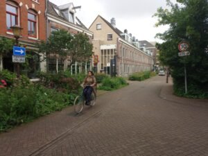 Woman_cycling_on_quiet_street_in_Amsterdam