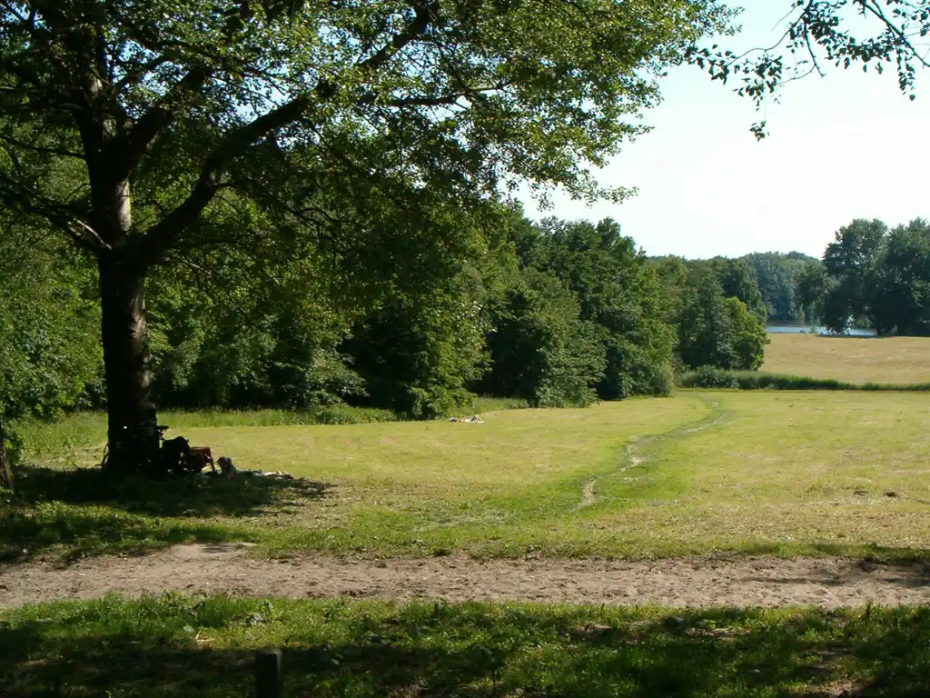 A meadow in the Amsterdamse Bos