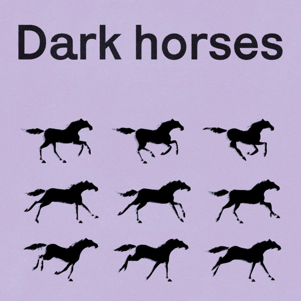 Dark Horses: career stories followed by networking