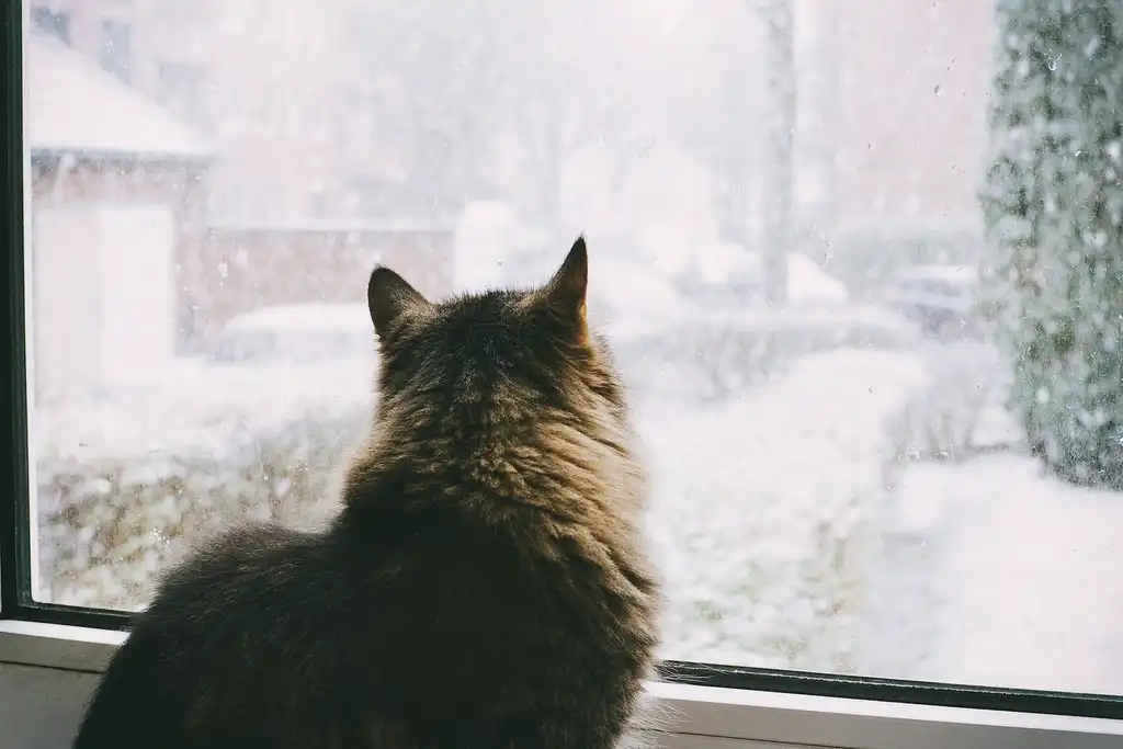 czNmcy1wcml2YXRlL3Jhd3BpeGVsX2ltYWdlcy93ZWJzaXRlX2NvbnRlbnQv-5