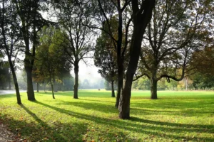The Oosterpark in Amsterdam-Oost
